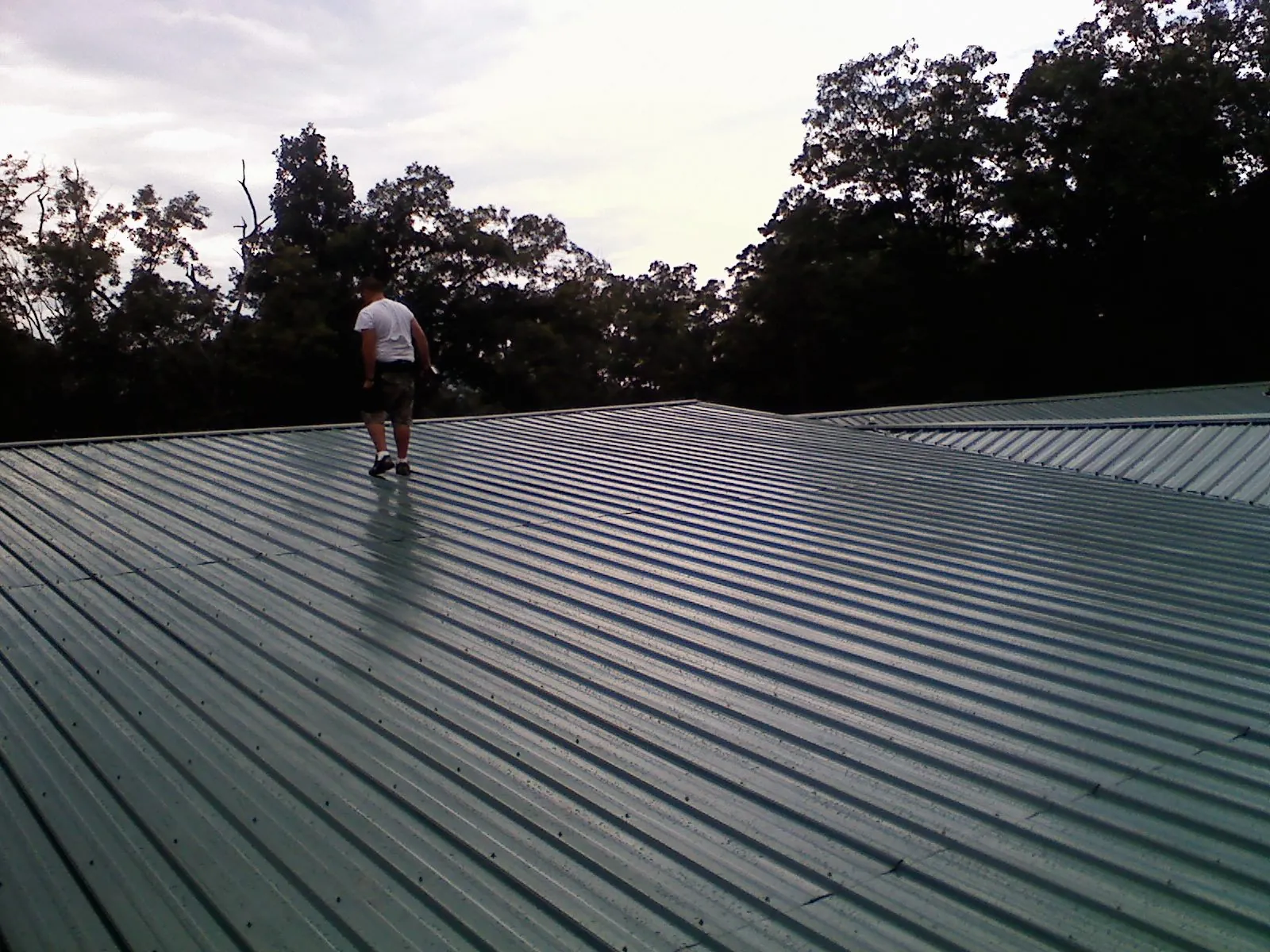 Roofer walking a wide expanse of new green metal roofing in Cherry Point