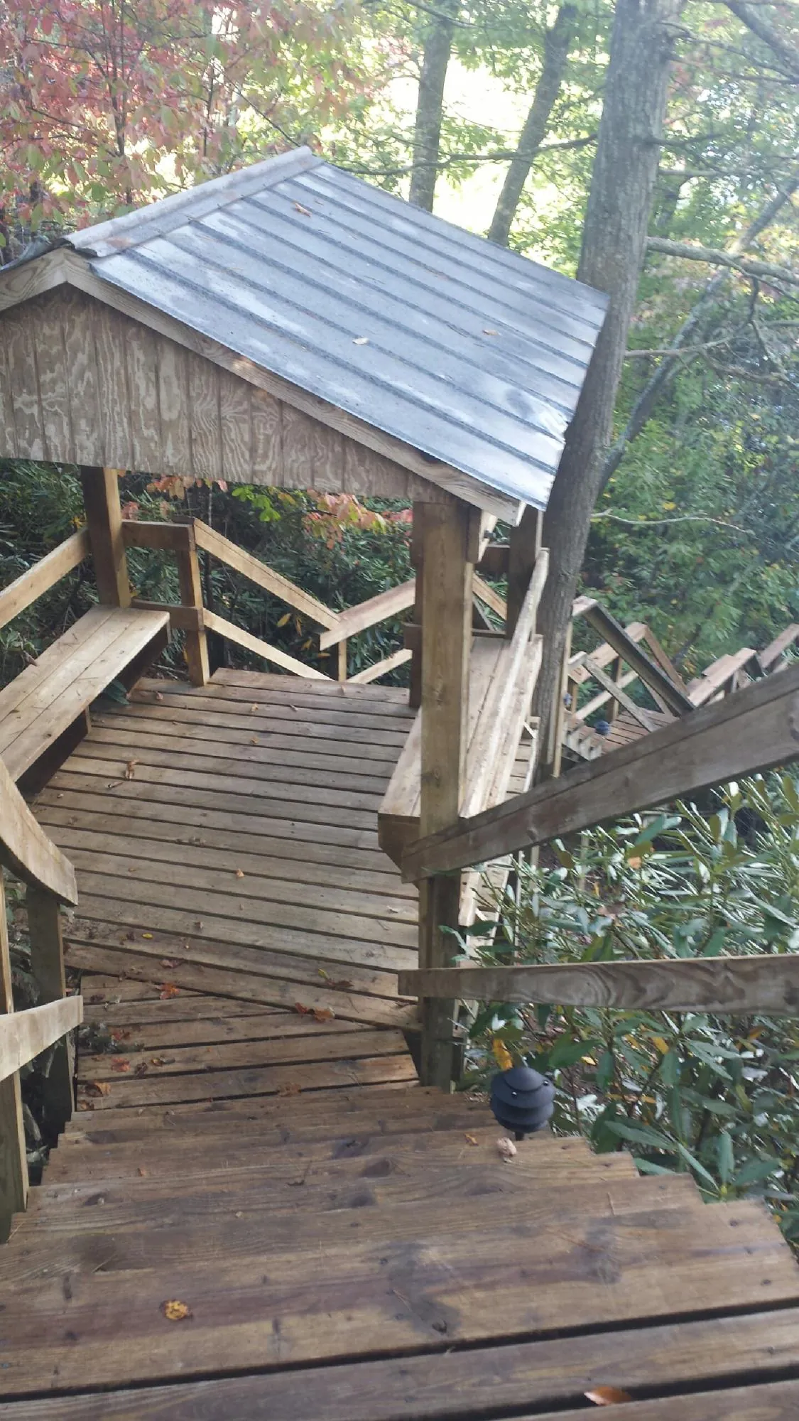 Metal roofed shelter over wooden steps on a wooded walkway — Skylight Repair & Installation work by our crew in Cherry Point